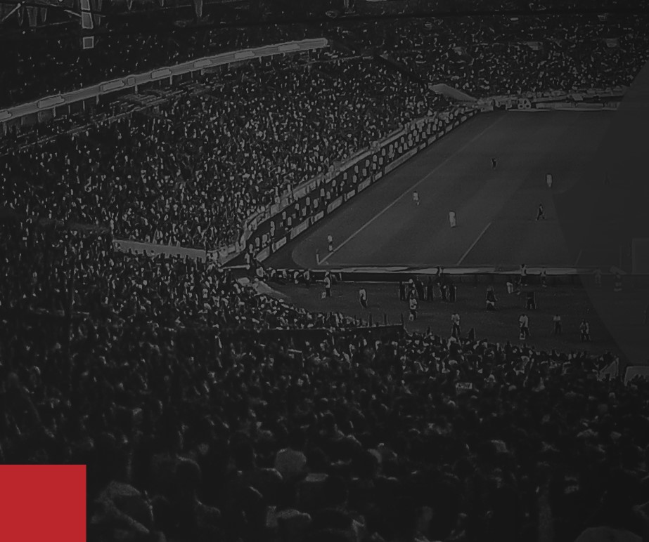 Torcida do Flamengo no estádio